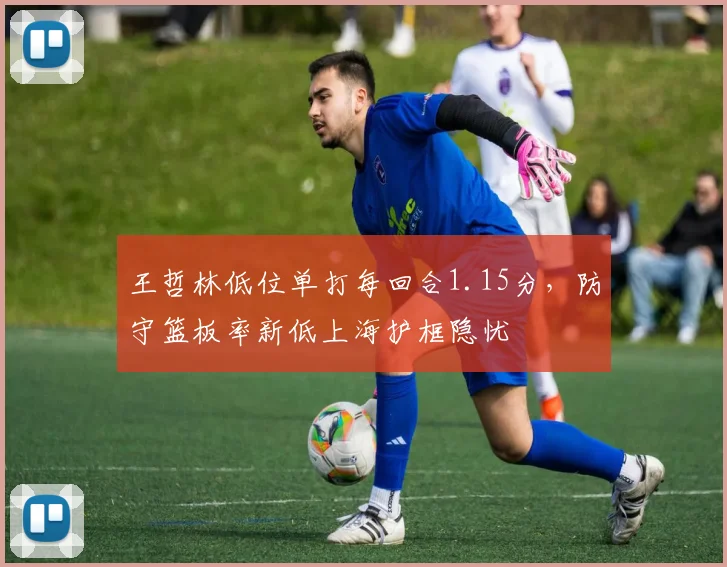 王哲林低位单打每回合1.15分，防守篮板率新低上海护框隐忧
